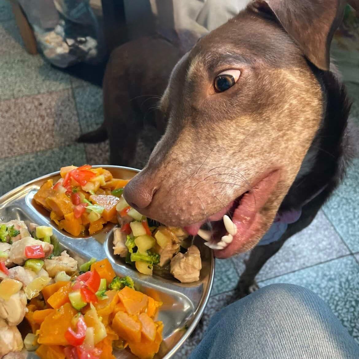 Twilight Green 樹林裏的綠夕