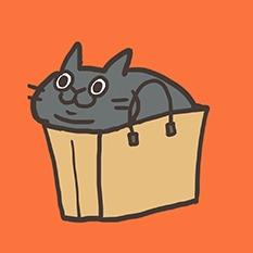 cat_life_squarefish