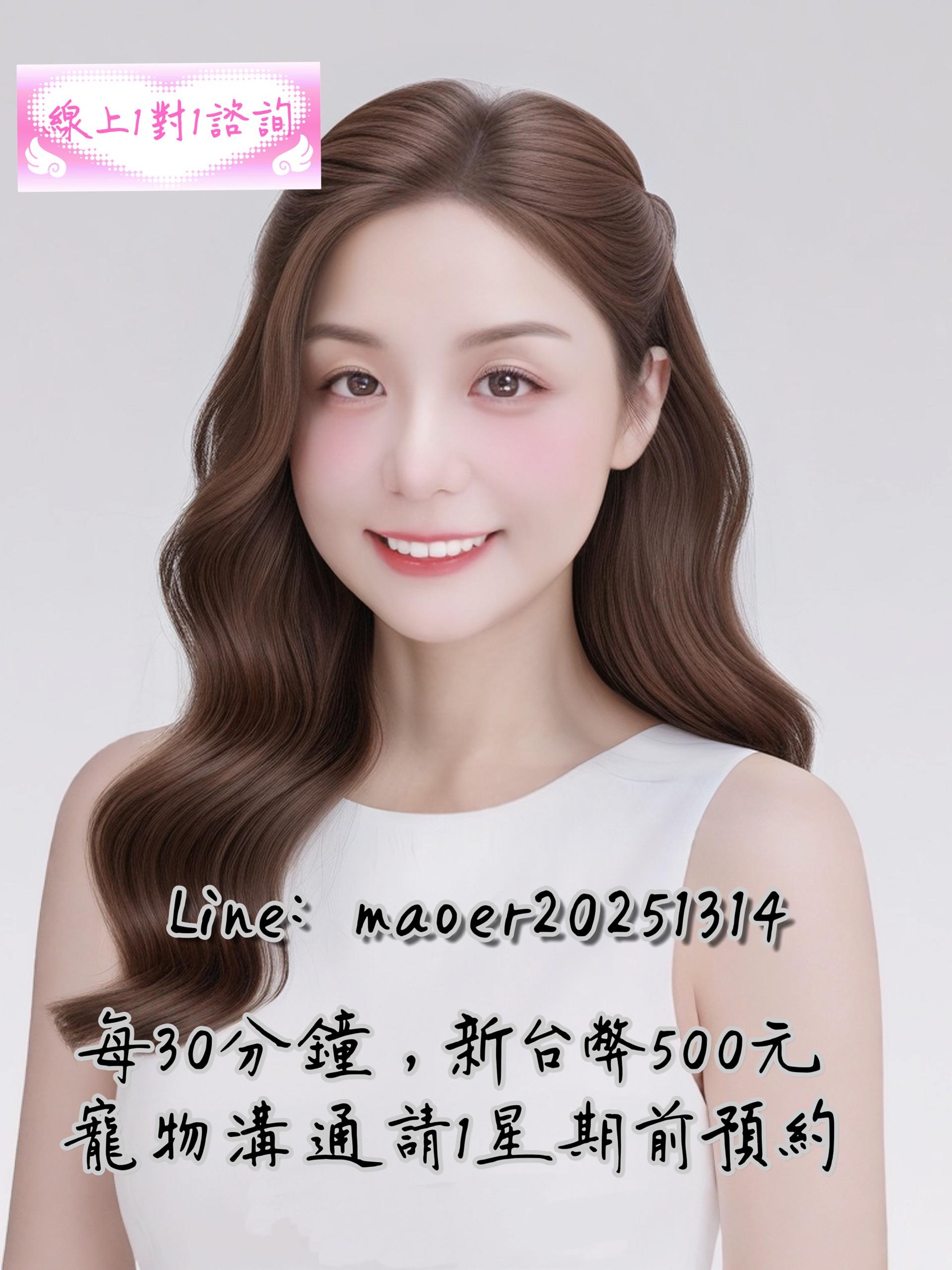 貓兒☀️療癒占卜