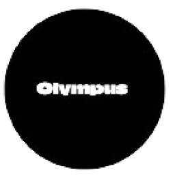 BZ商學院 | 區塊鏈學習的最佳夥伴 Olympus BZ商學院合作夥伴 區塊鏈學習