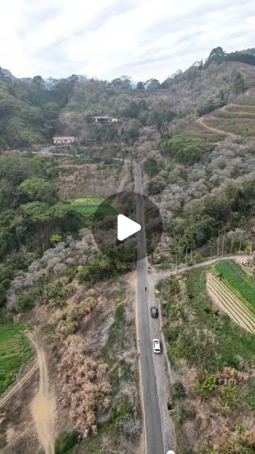 王凱棓 | 阿棓 | Siotan 拾山 埔里空拍