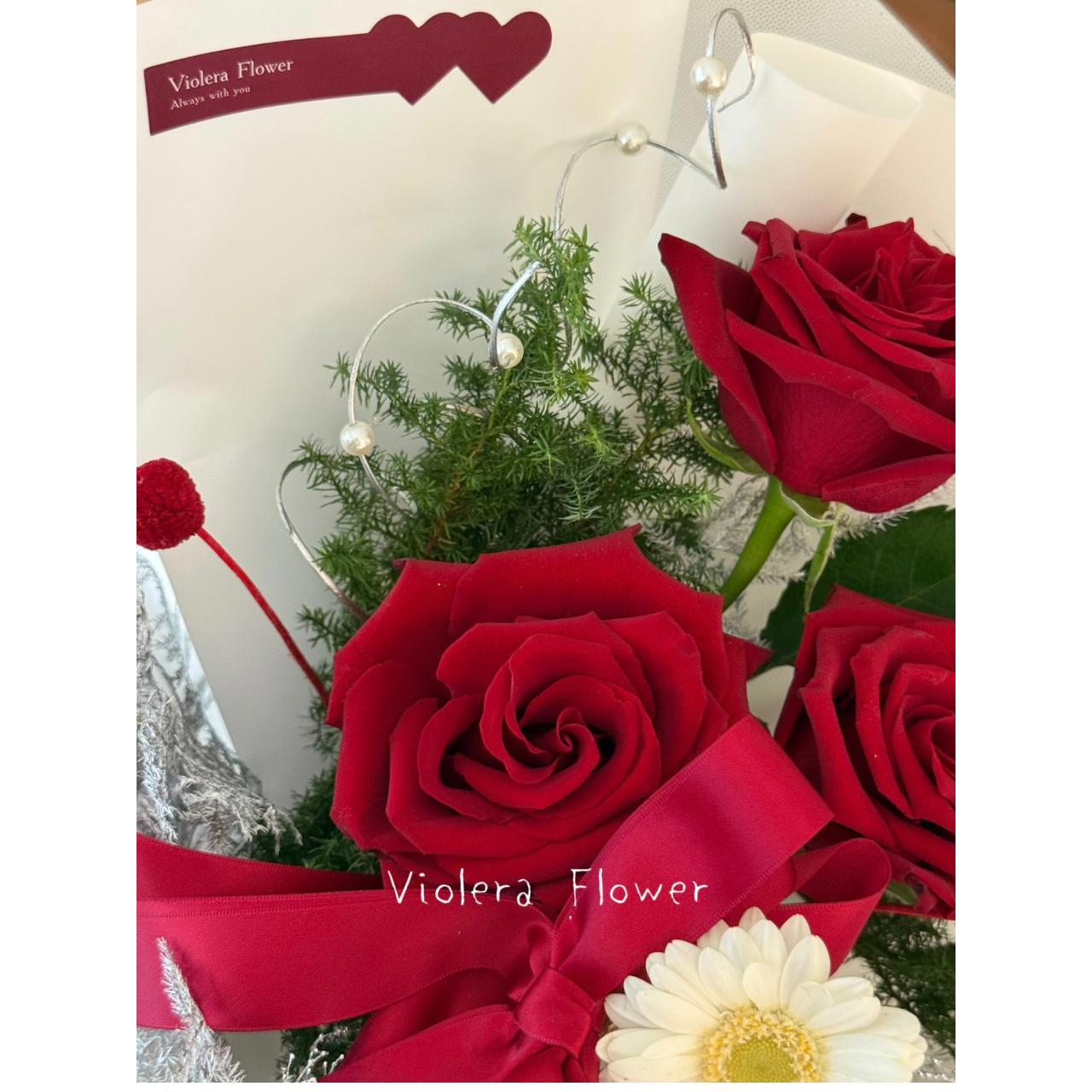 𝙑𝙄𝙊𝙇𝙀𝙍𝘼 𝙁𝙇𝙊𝙒𝙀𝙍