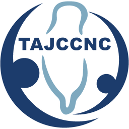 TJCCNA 北美青商 TAJCCNC 北加州台灣青商會
