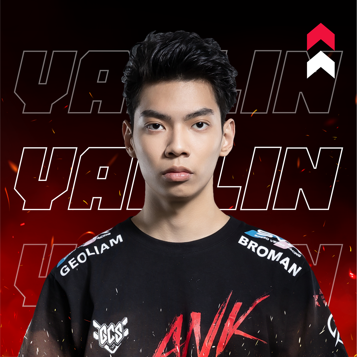 ANK Gaming 電競職業戰隊