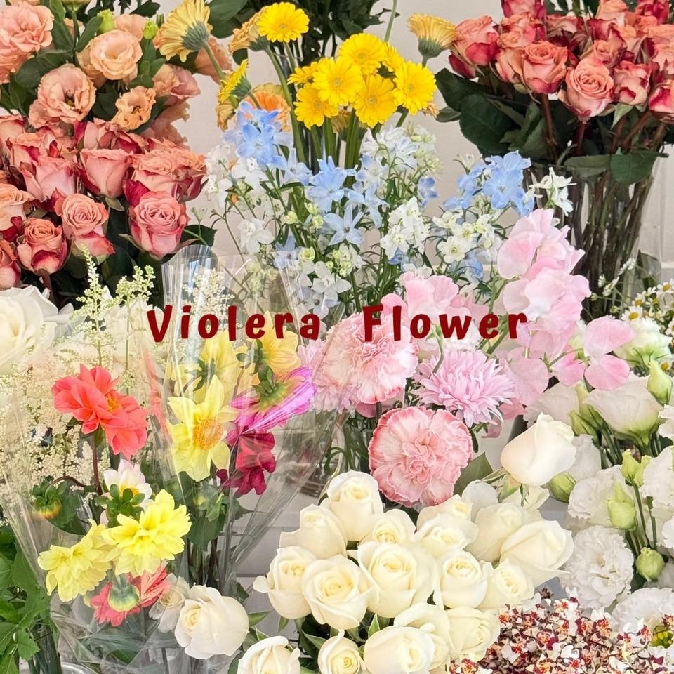 𝙑𝙄𝙊𝙇𝙀𝙍𝘼 𝙁𝙇𝙊𝙒𝙀𝙍