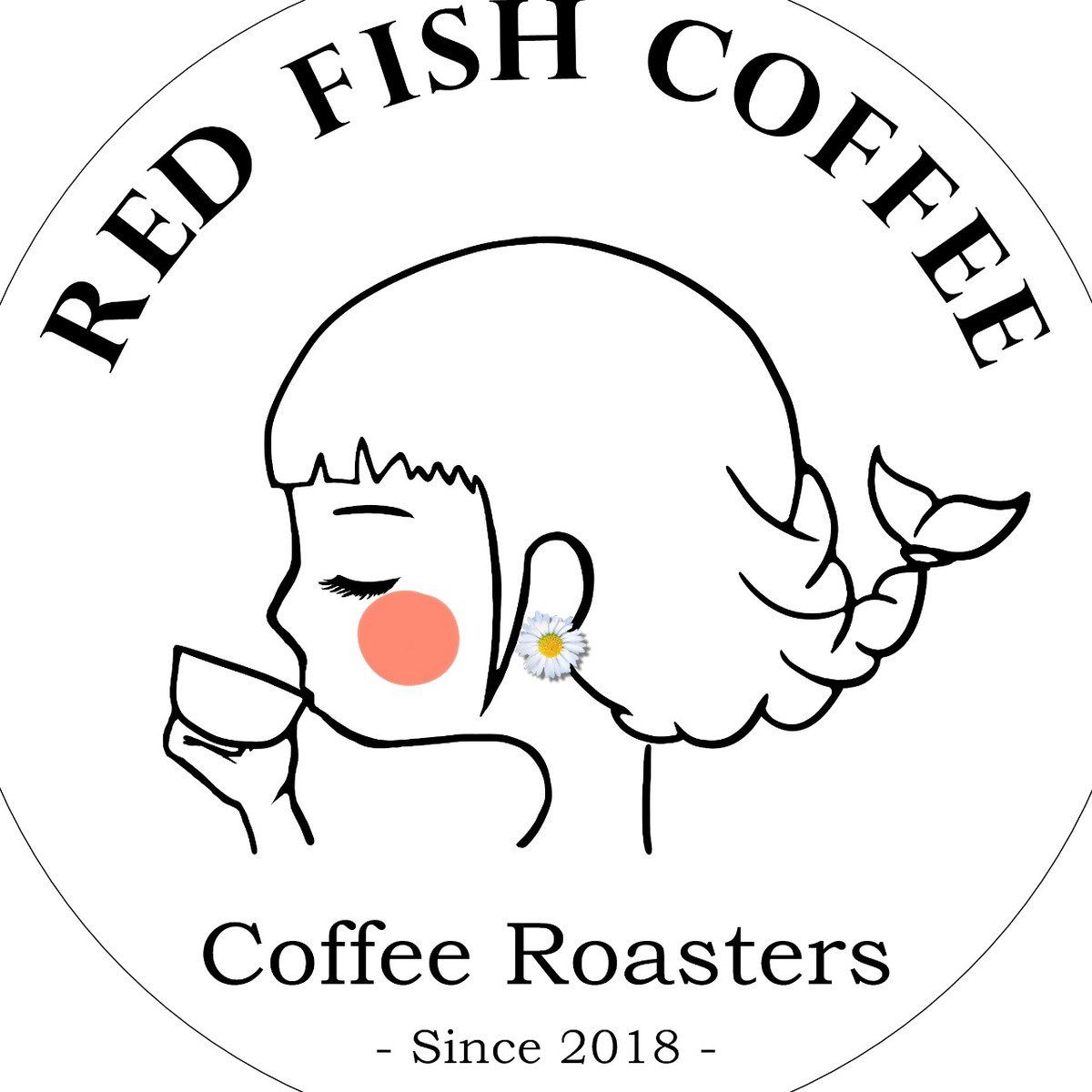 instagram-facebook-portaly