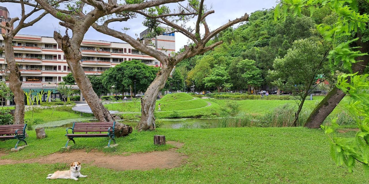 退休練習生教室 我的網站