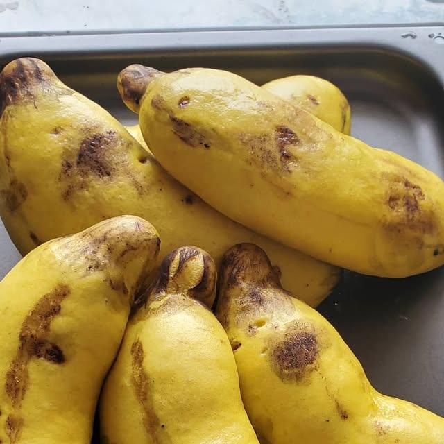 🇭🇰Jaycee暴龍媽@暴龍分享會