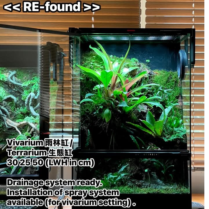 MeP Lab vivarium, frog, reptile