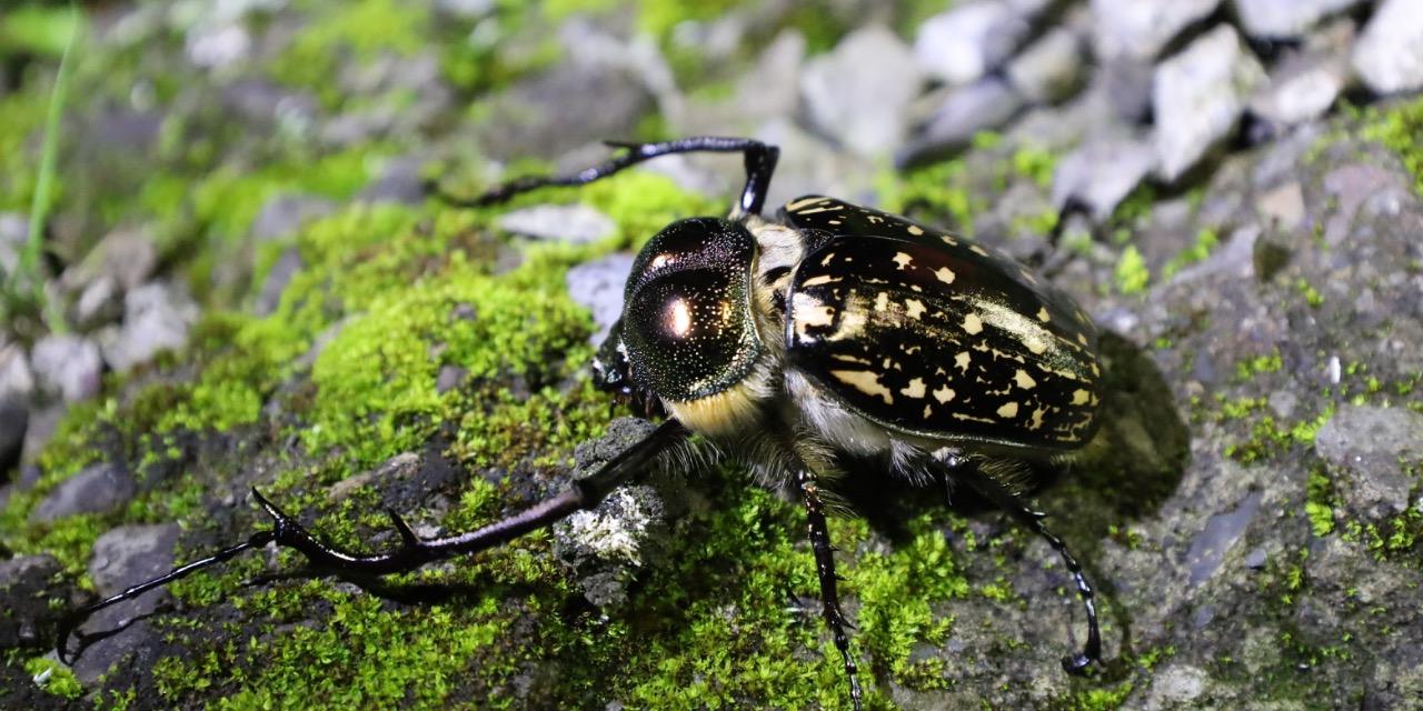 T.H.Y. TINY HOUSE 合作邀約： thytinyhouse@gmail.com