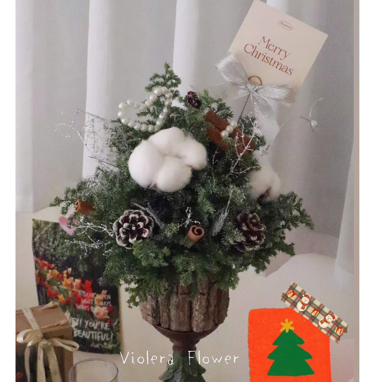 𝙑𝙄𝙊𝙇𝙀𝙍𝘼 𝙁𝙇𝙊𝙒𝙀𝙍