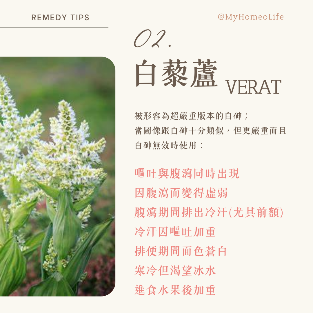 順勢療法白藜蘆VERAT腸胃炎療劑應用