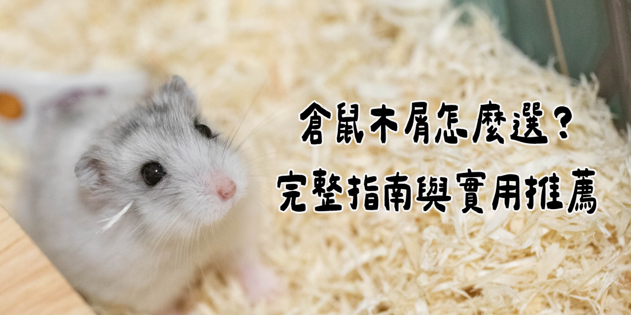 噗噗噠噠-PuBuTaDa- 倉鼠木屑選擇超重要！從經典木屑、刨花到細木絨，針對短毛鼠、長毛鼠與過敏體質的挑選重點全面解析，提供實用建議與混搭技巧，讓鼠寶生活更舒適健康！