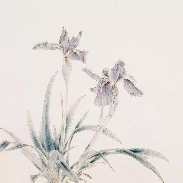 地點: 板橋大遠百旁