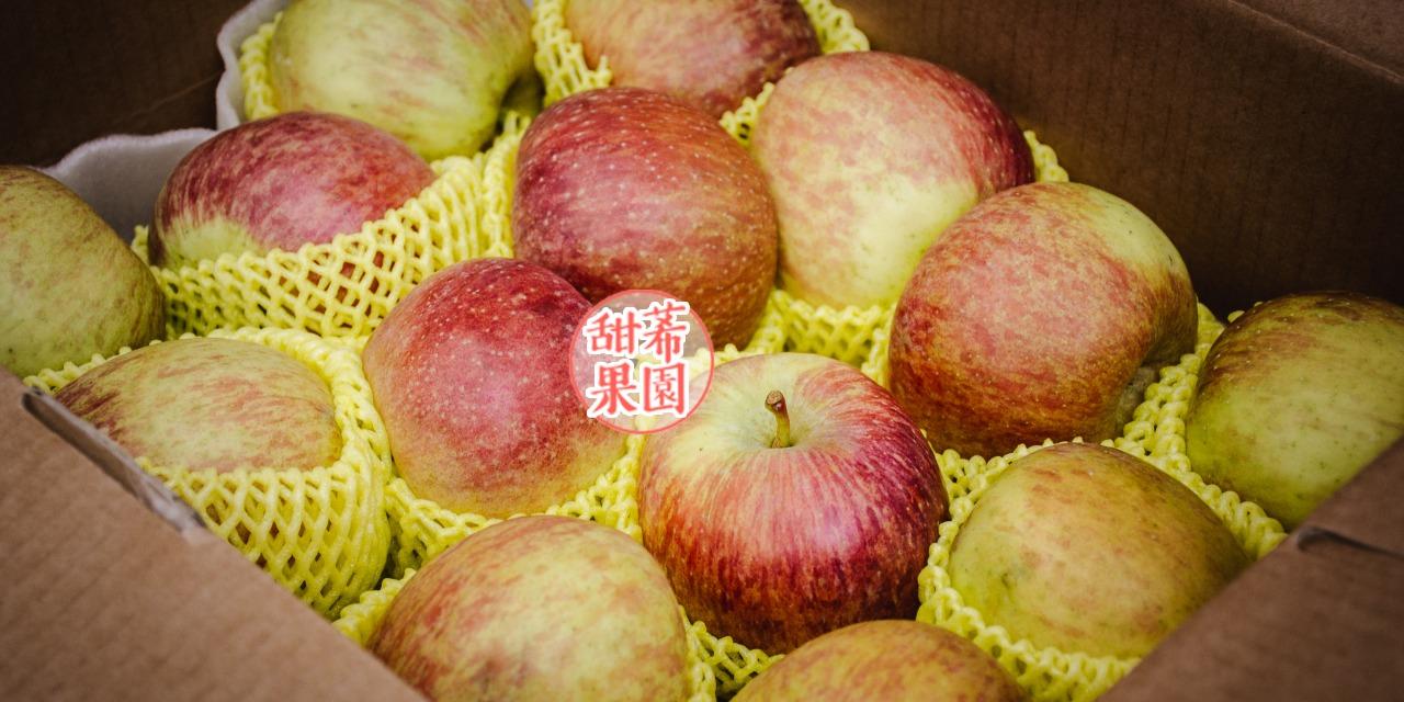 甜莃果園｜許漢忠 梨山蜜蘋果🍎點擊預購👆