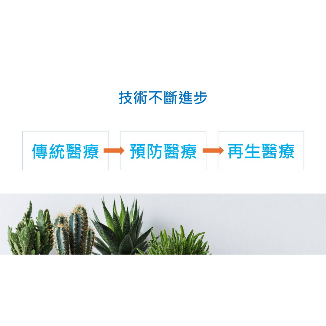 LifeRegen 莱芙蕾