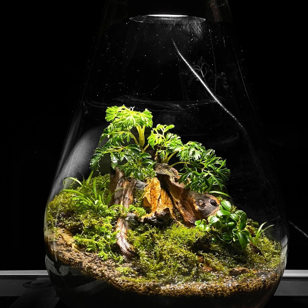 MeP Lab <<safe cave>> $1800