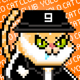 YOLO Cat Club NineTheory