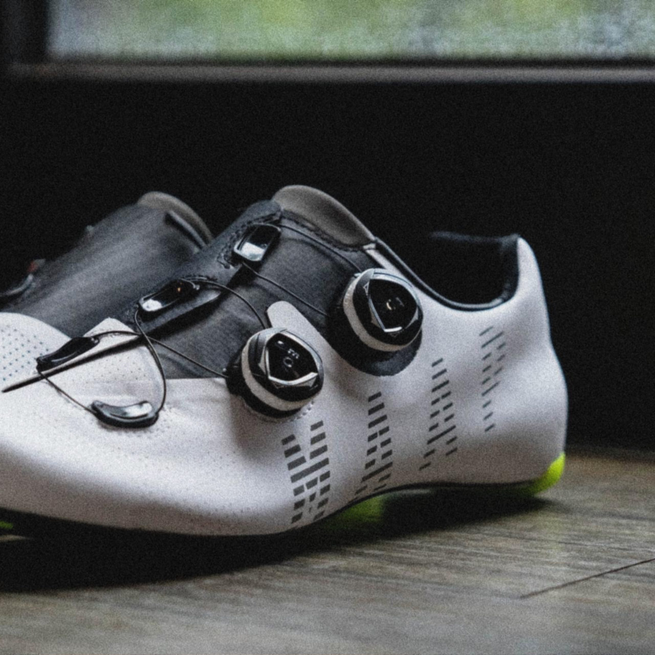 巡揚單車 優惠活動