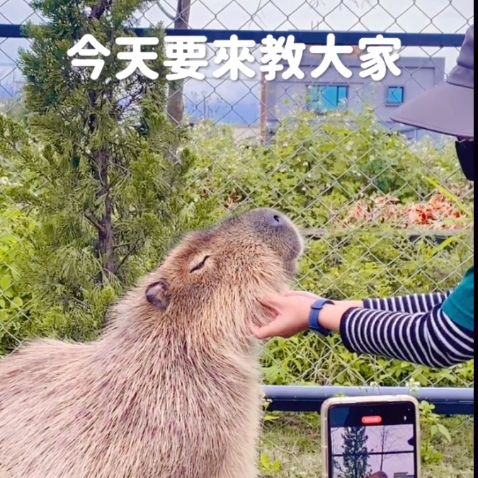 許晴雯作品集 教學影片