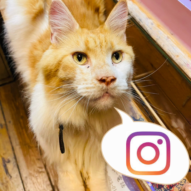 星月天空景觀餐廳