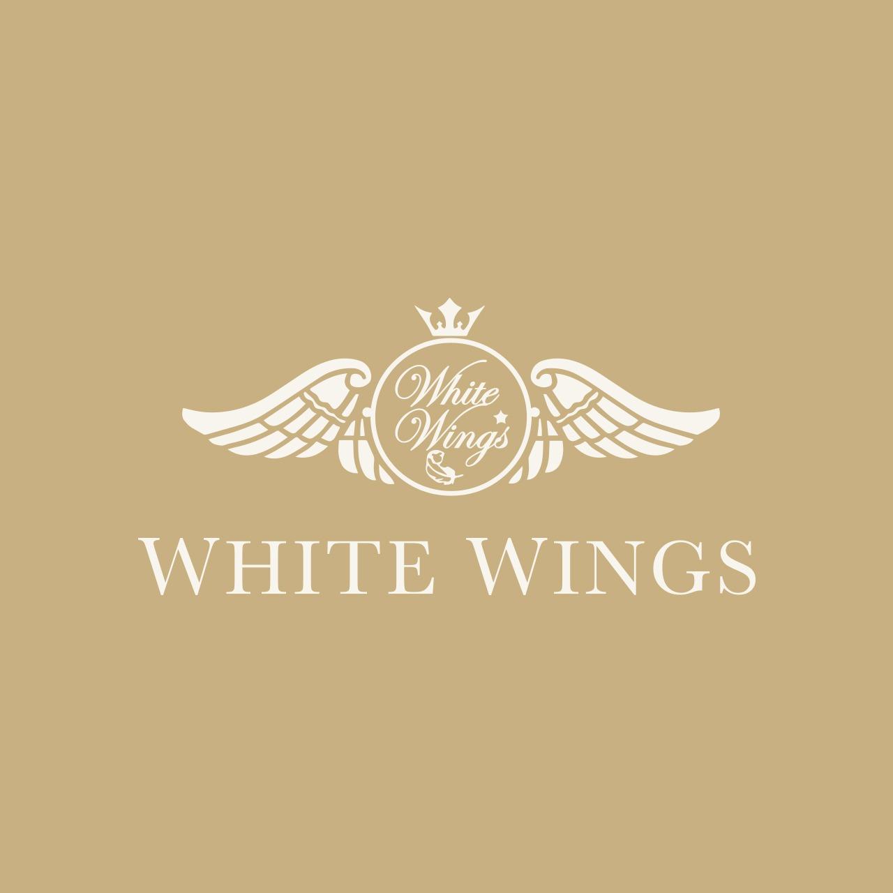 白色翅膀 White Wings