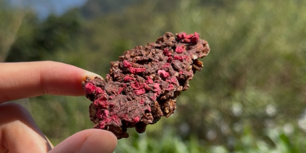 翠比 Trinity 點擊逛逛