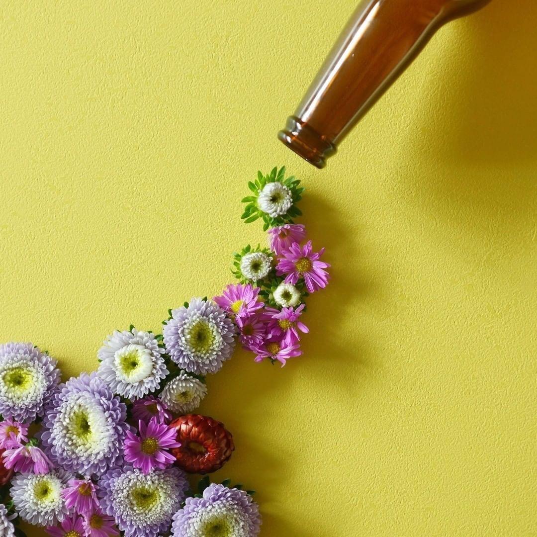 BG22｜牌礦介紹所 91今天喝了沒，各式啤酒開箱