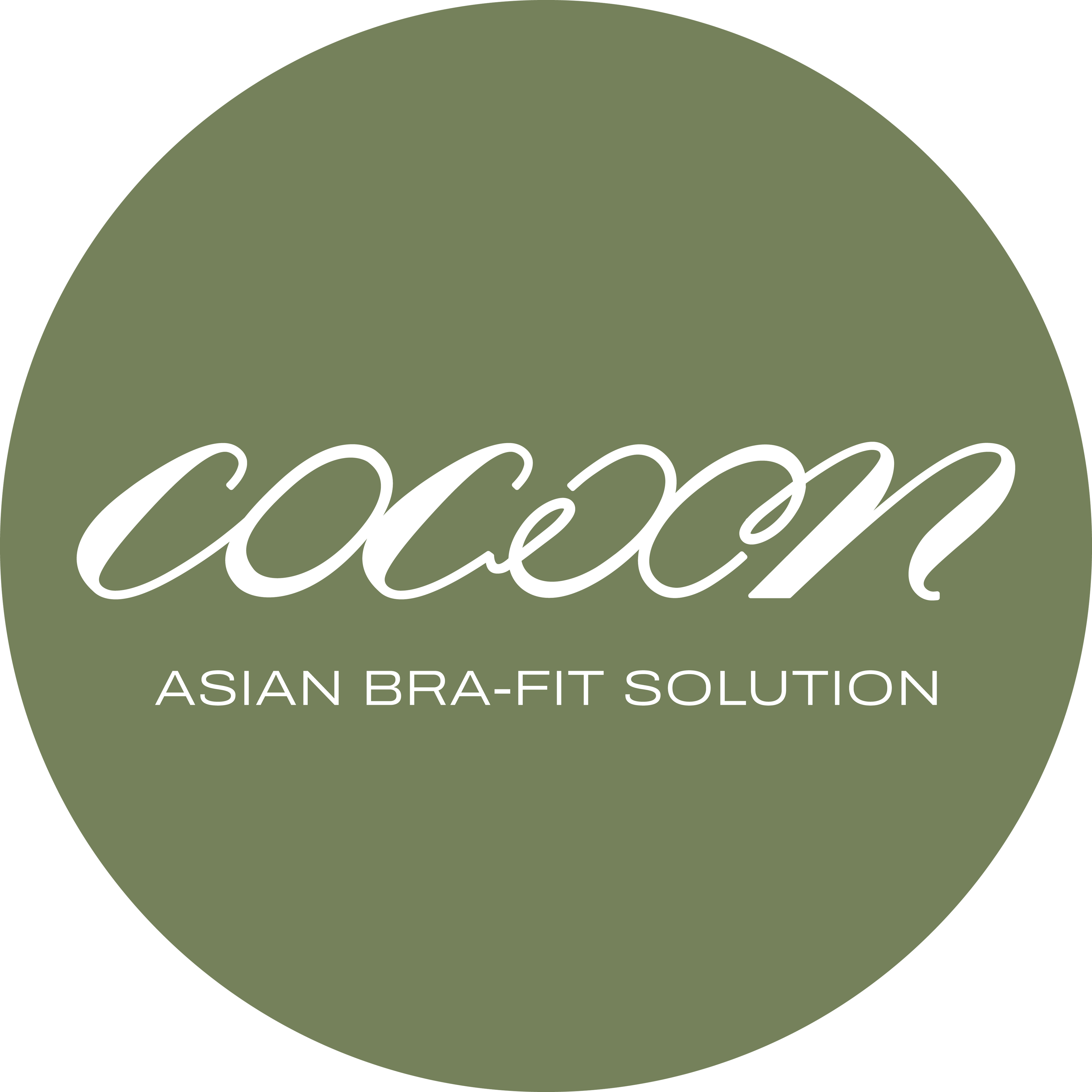 內衣量身專家－Cocoon內衣革命