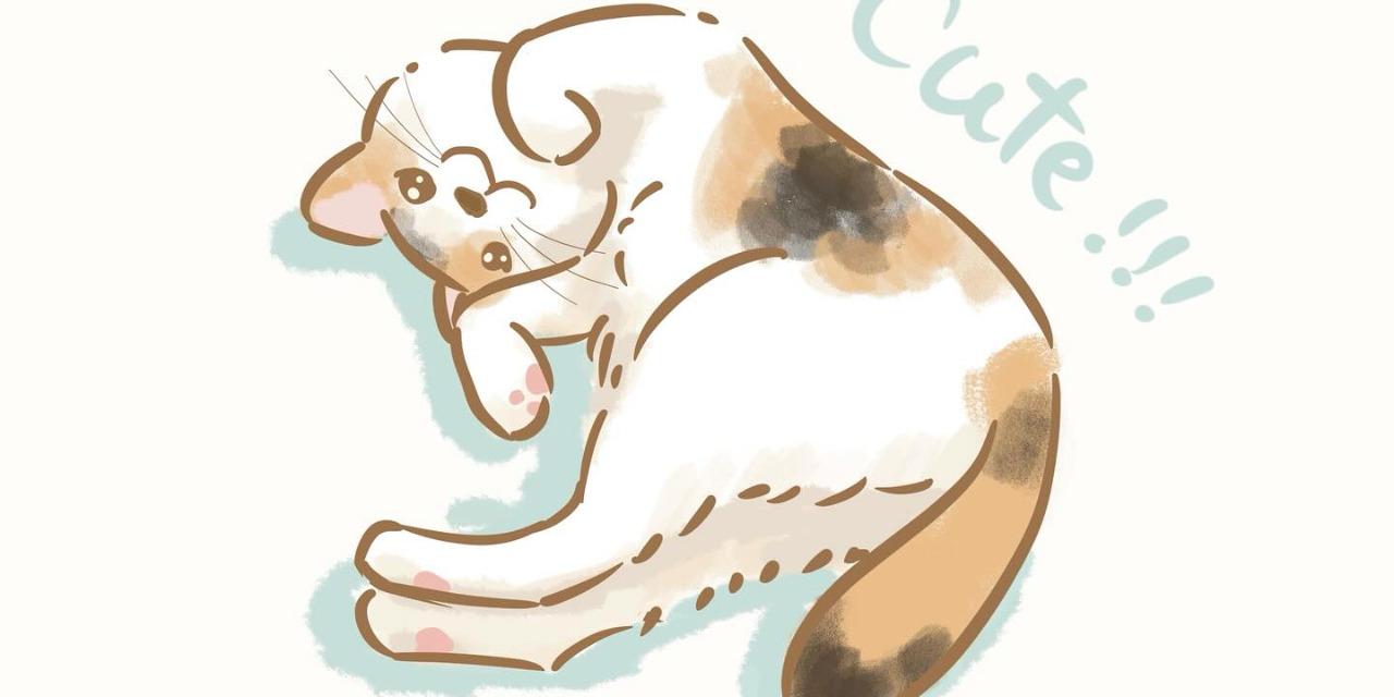 澪 | 為食貓插畫