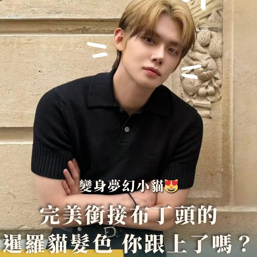 帕瑪造型沙龍 PAMA HAIR SALON #染髮推薦 #染髮設計 #髮型設計 #twice #暹羅貓 #暹羅貓髮色 #txt #togetherxtomorrow #yeonjun