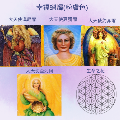 Alice 愛麗絲🔮紫微塔羅