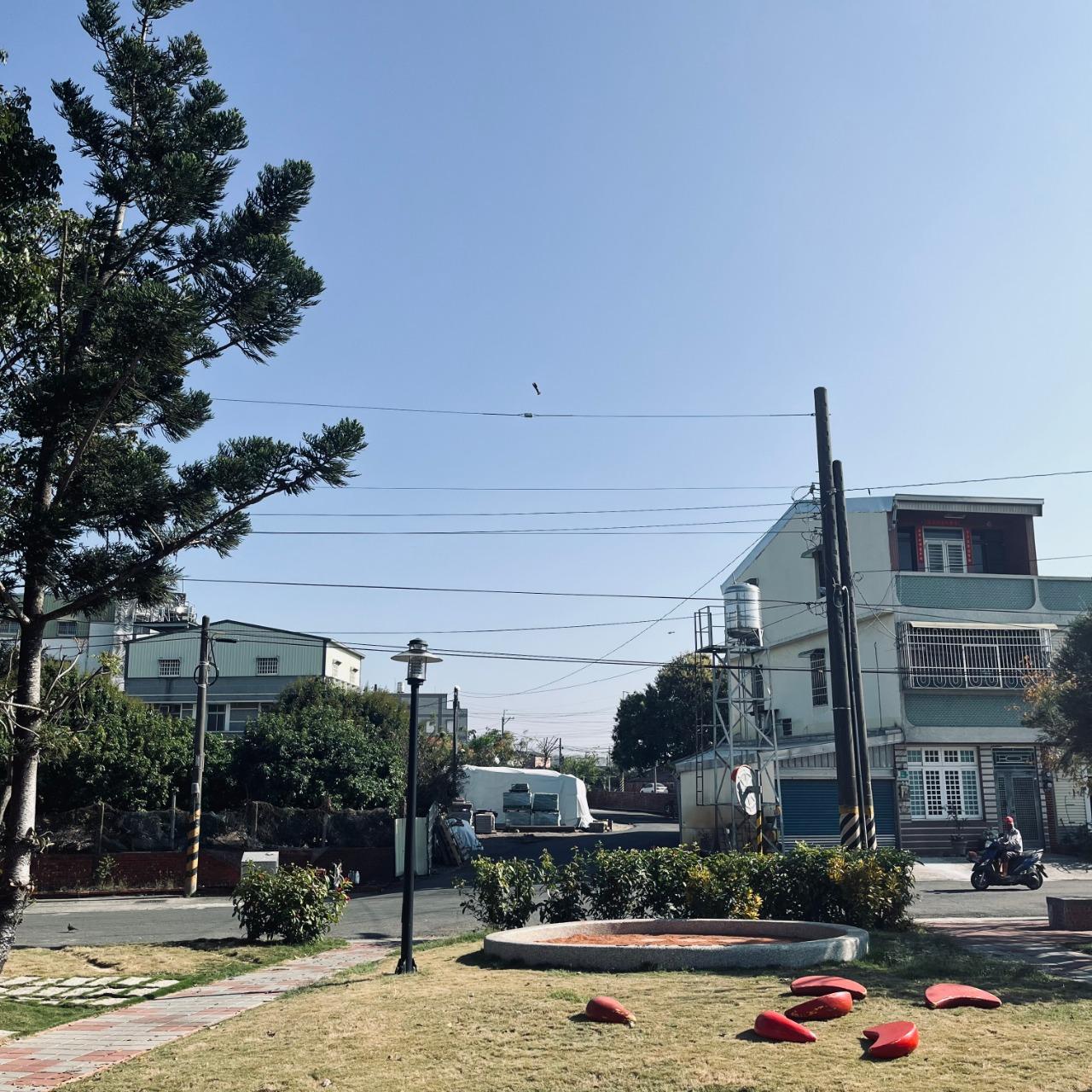 稻頂來 DaoDingLa