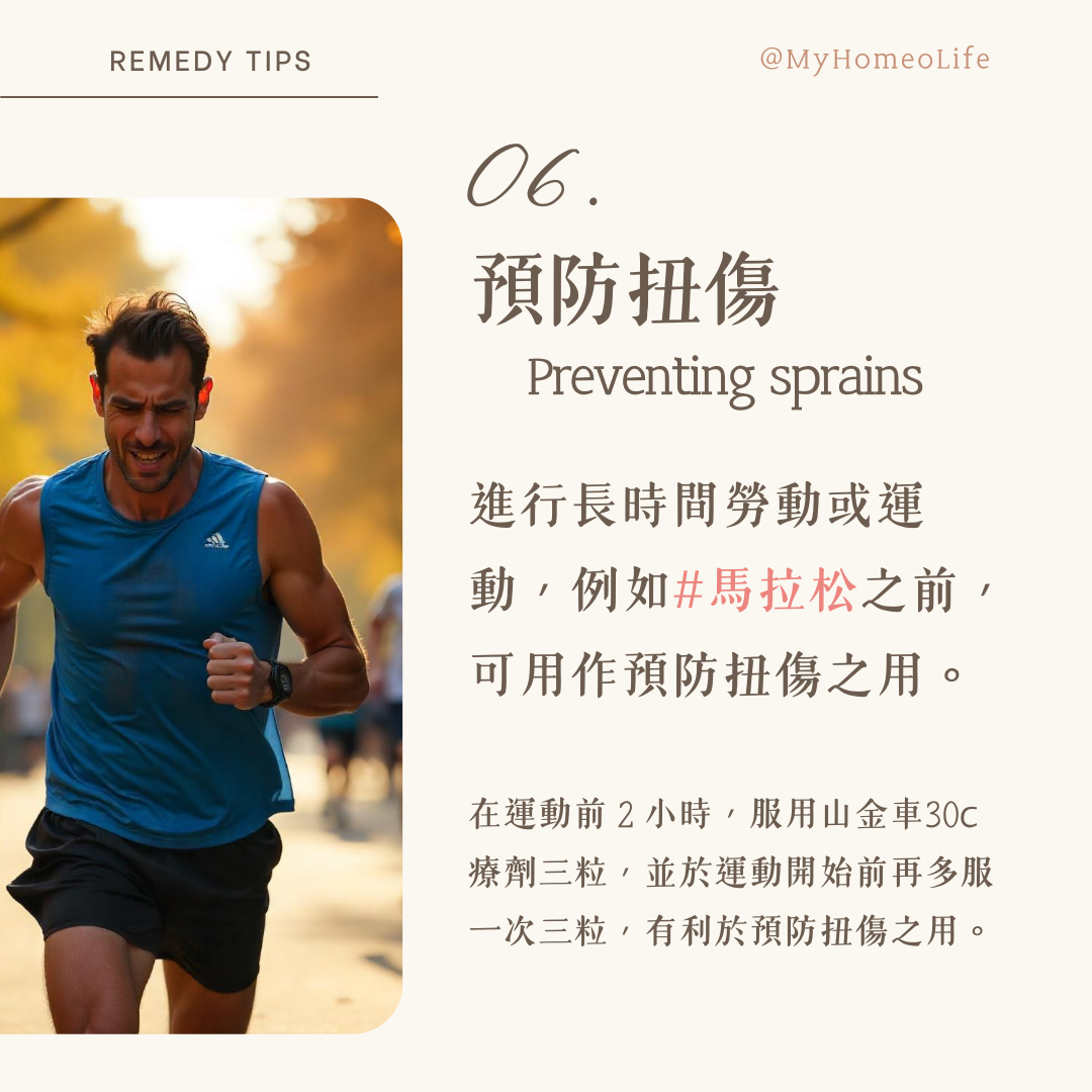 山金車 Arnica 順勢療法 homeopathy