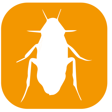 木蟑螂、澳洲蟑螂、煙棕蟑螂、棕色蟑螂、美洲蟑螂、東方蟑螂、棕帶蟑螂