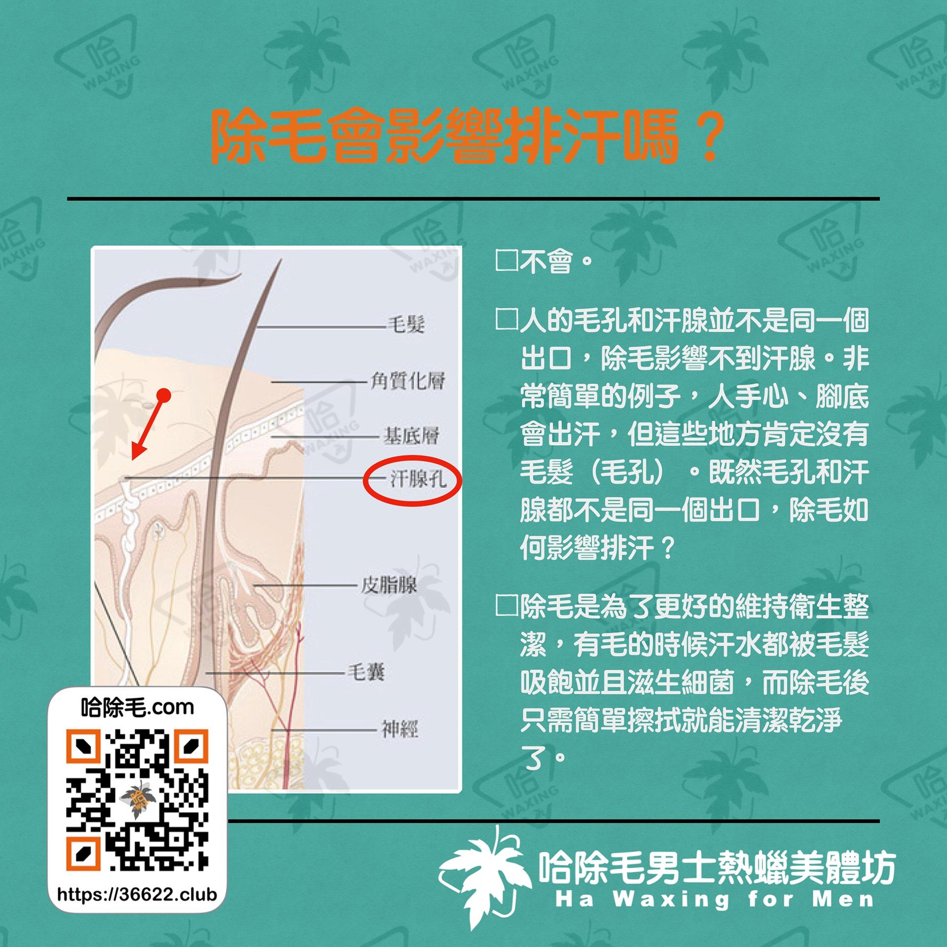 哈除毛男士除毛作坊