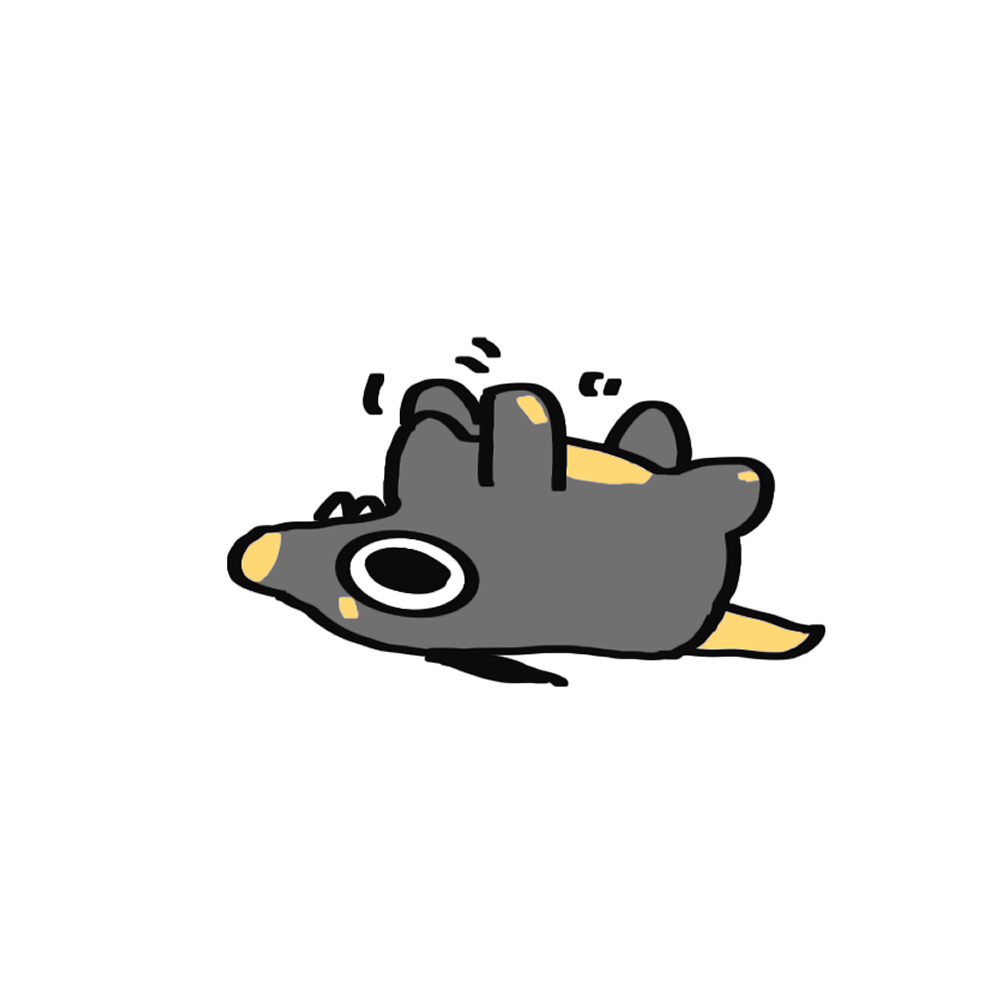 佩夫