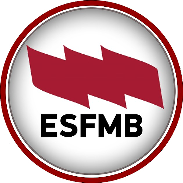 ESFMB - IV