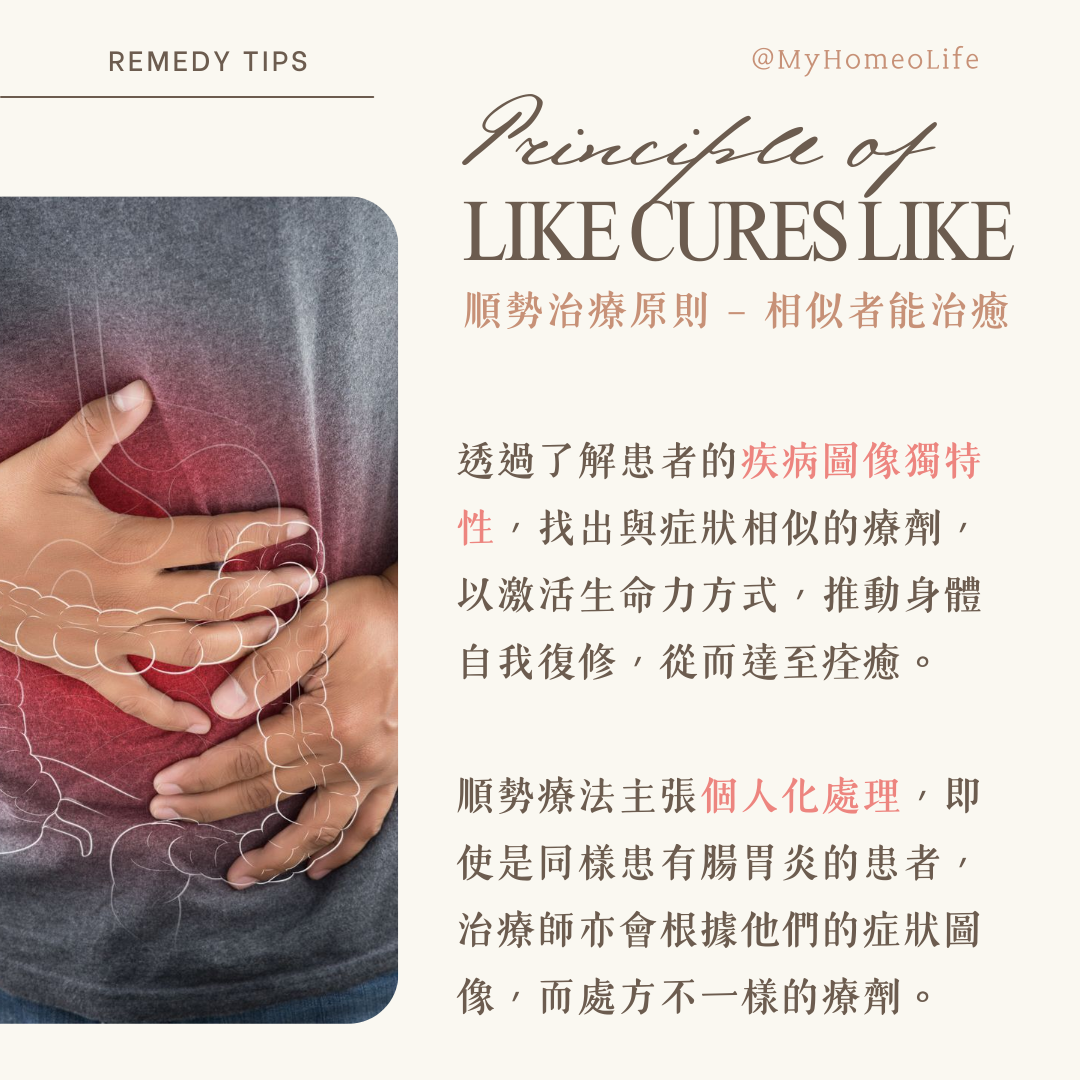 相似者能治癒順勢療法法則LIKE CURES LIKE