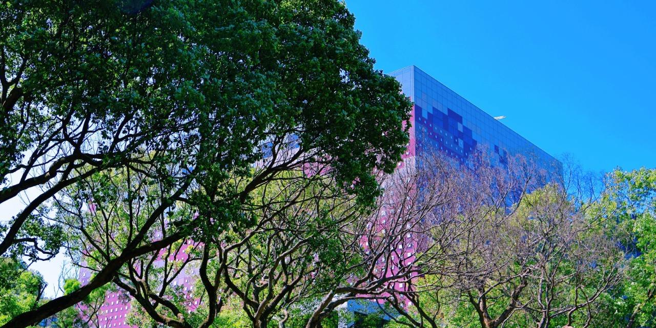 敘事圈StoryCircle 國家檔案館