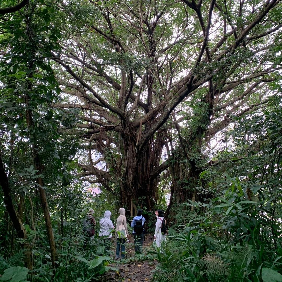 靈魂映像 / 韓芮湘