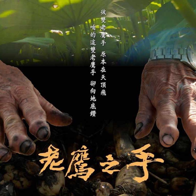 在地女子曼蒂說｜專業形象打造 x 7日挑戰營 x 品牌行銷規劃 #嘉義 #民雄 #牛斗山 #老鷹之手 #蓮藕 #農業 #食農 #永續 #嘉義縣牛斗山蓮藕果菜生產合作社 #臺灣 #taiwan #台湾 #れんこん #文化永續 #文化傳承的使命感