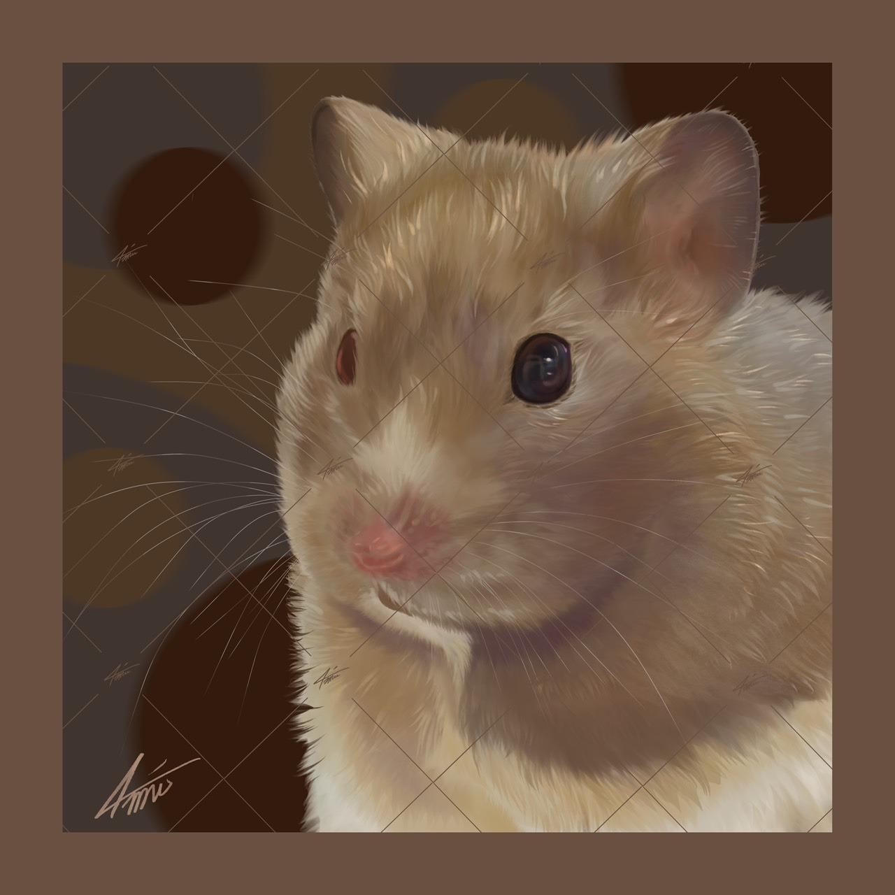 戴圍兜兜的貓 מּ ≋𝒞𝓵𝓪𝓾𝓭𝓲𝓪 𝓛𝓲𝓷 ৲ 4𝓶𝓾 ≋ 5000×5000，300dpi，jpg，RGB