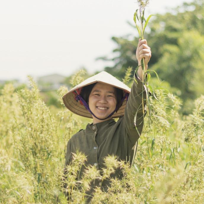 魔女的香草園芳療日常