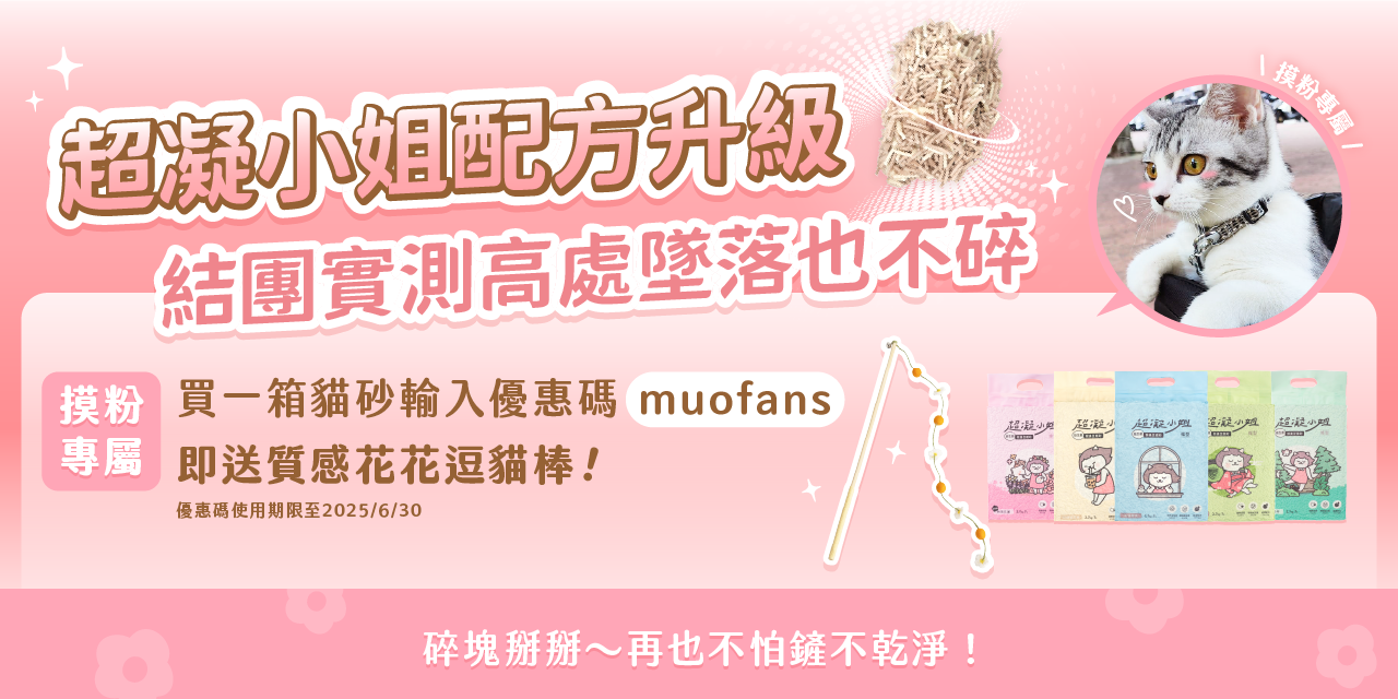 摸摸