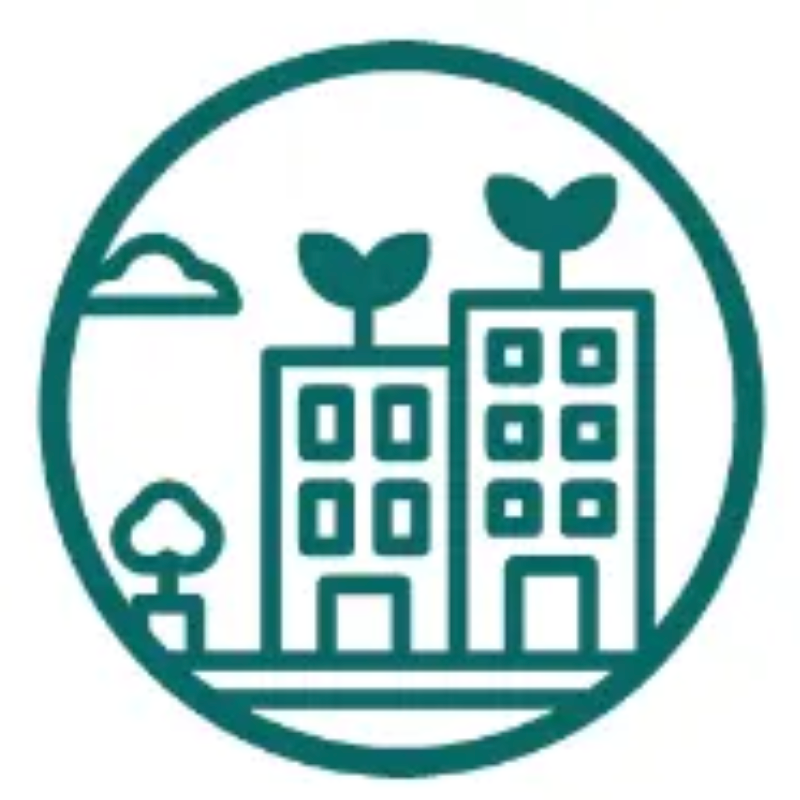 桃山神木｜撞到月亮的樹