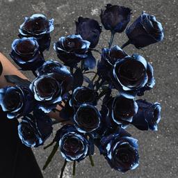 原點花藝設計 Yuan's Flower 極光玫瑰
