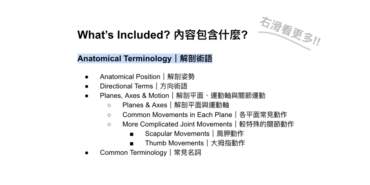 中英文解剖學筆記（骨骼＋肌肉, 400頁, 可下載）