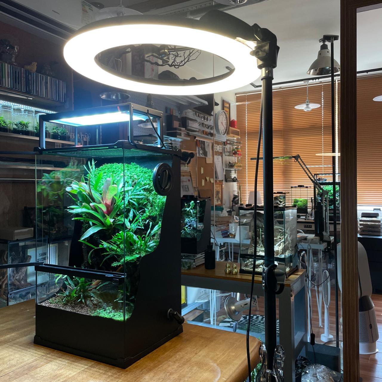 生態缸 爬蟲缸 水陸缸 寵物 螃蟹 熱帶魚