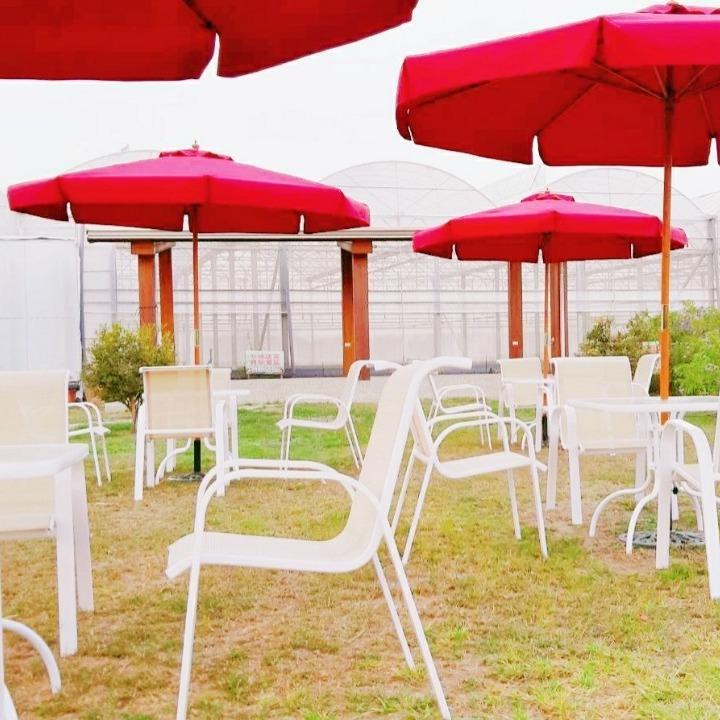 老爹威廉 文創視覺設計